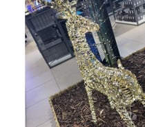 RELAX FULL BODY MASSGE