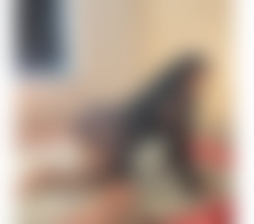 Escorts Westbourne Bournemouth, Christchurch and Poole - Photos for 🎀SEXY LEBANESE HOT I'M 100% REAL🔞PARTY GIRL🍾🥂