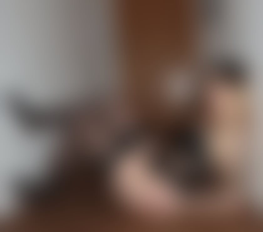 Escorts West Midlands Birmingham - Photos for STOP ✋🏻🛑 You will find everything you need 🔥