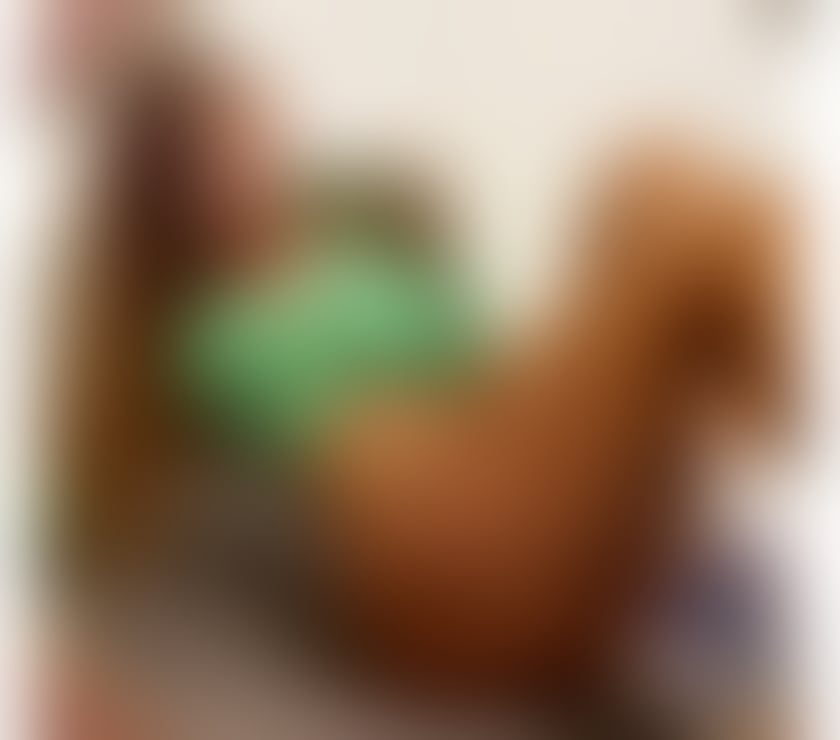 Escorts North Yorkshire Middlesbrough - Photos for 🧨NEW HERE💯REAL💎PARTY GIRL💎☎️OWO☎️