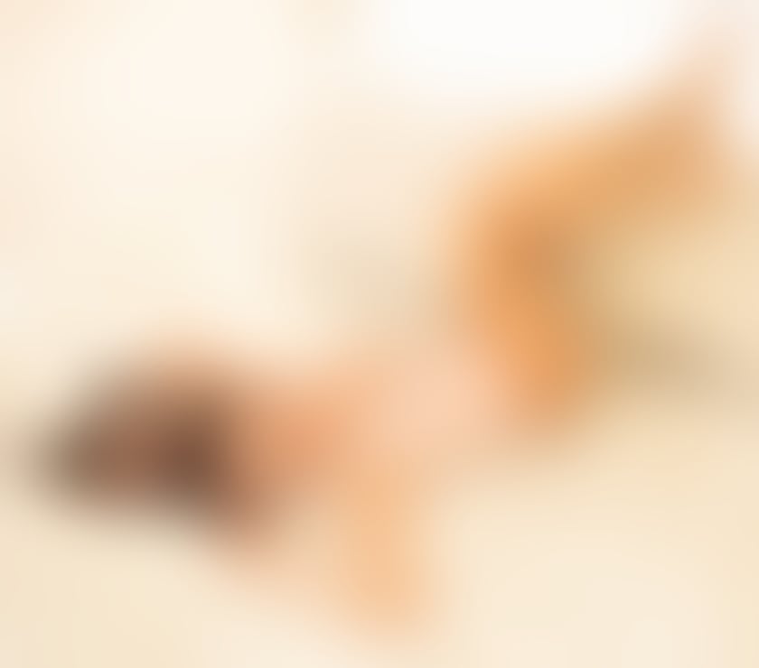 Escorts West Midlands Wolverhampton - Photos for VICKY✨BESTSERVICE🍾PARTYGIRL🥂OWO🇧🇷100%REAL