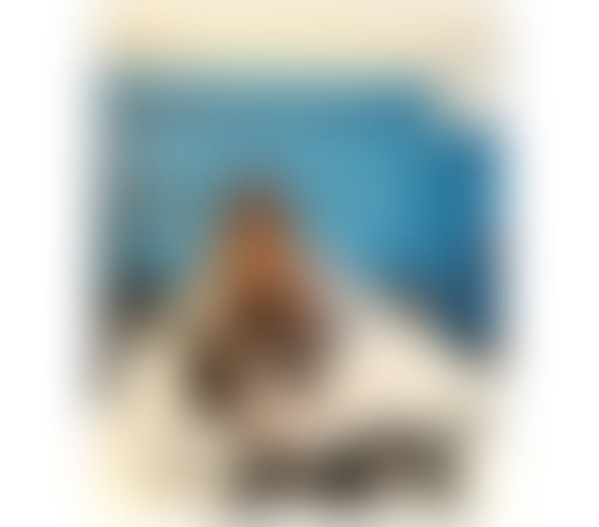 Escorts County Durham Darlington - Photos for Brianna new on your city !