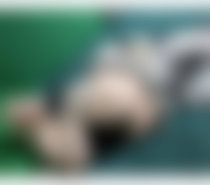 Escorts Peterborough Peterborough City Centre - Peterborough - Photos for Hi guys , I’m Antonia best services 🥵❤️🫶