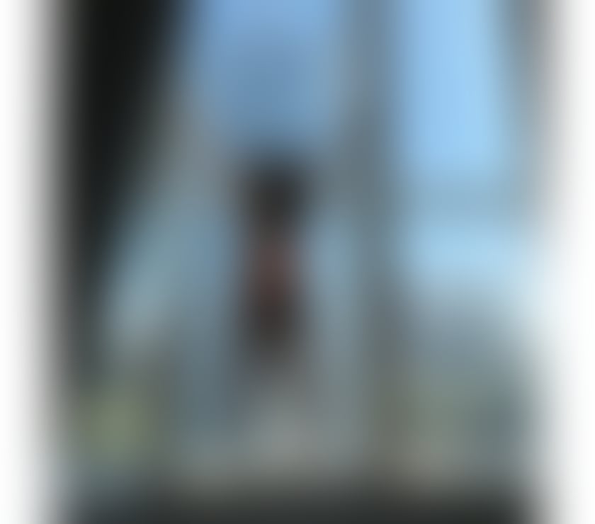 Escorts Cheshire East Macclesfield - Cheshire East - Photos for 🇧🇷 Lola Bunny Brazilian 🇧🇷