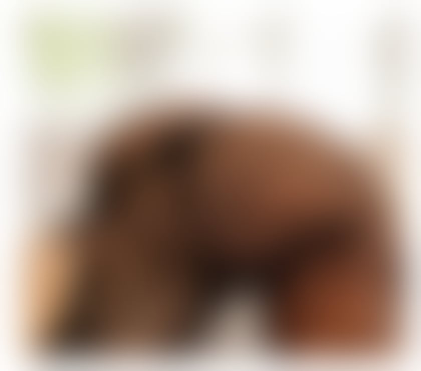 Escorts South East London Bermondsey - South East London - Photos for BEATRIZ VERY SEXY ❤️‍🔥🍑 BEST PARTY 🥳🥳