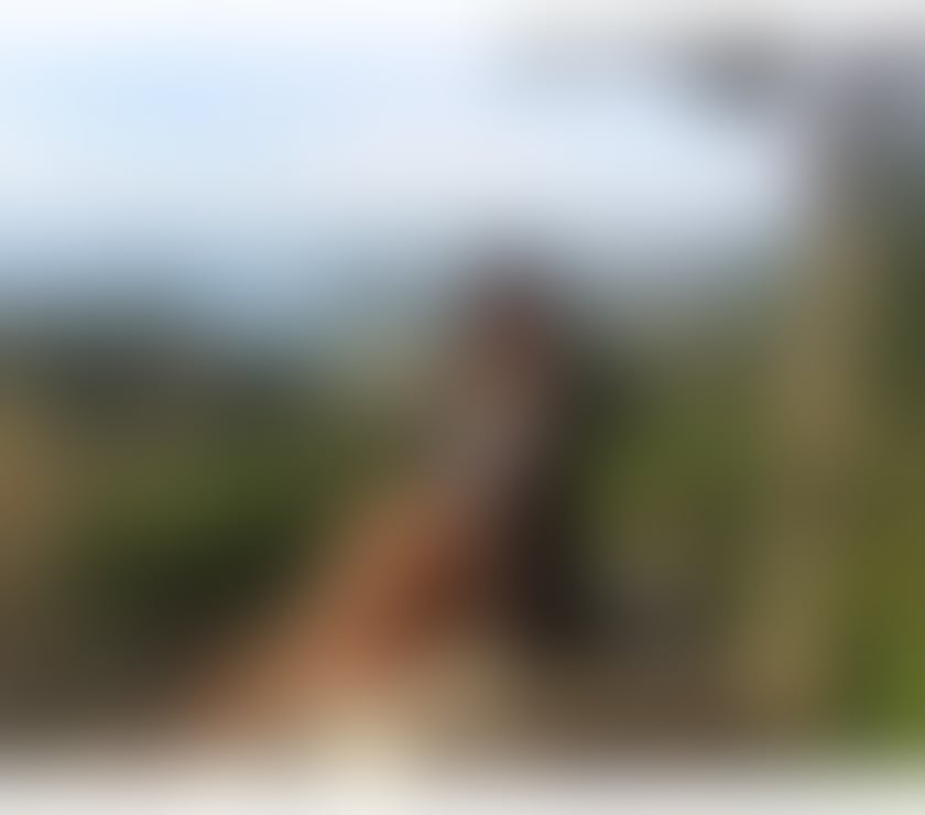 Escorts Merseyside Wirral - Photos for Lilly Thai xxx New in town Real photo ❤️