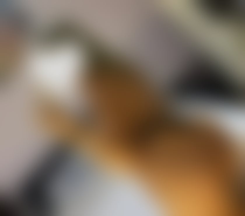 Escorts West Midlands Birmingham - Photos for Sexy blonde Latino patrycia hot body party 🔥 🥂