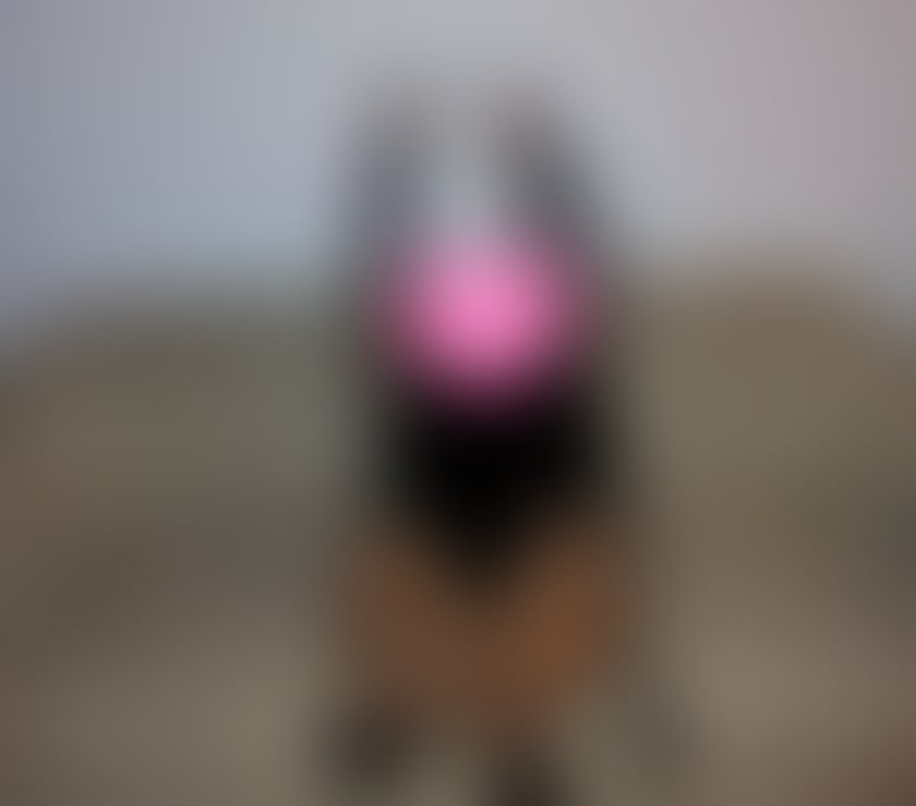 Escorts Bedfordshire Central Bedfordshire - Photos for ❌Bia❌DOMINATION❌OUTFITS 🔝