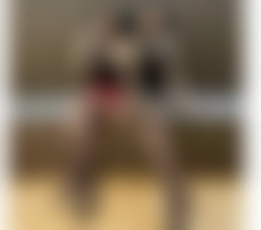 Escorts Tooting Bec South West London - Photos for Duo 100%💕New💕Asian beauty Hot Sweet ❤️ Real Pic