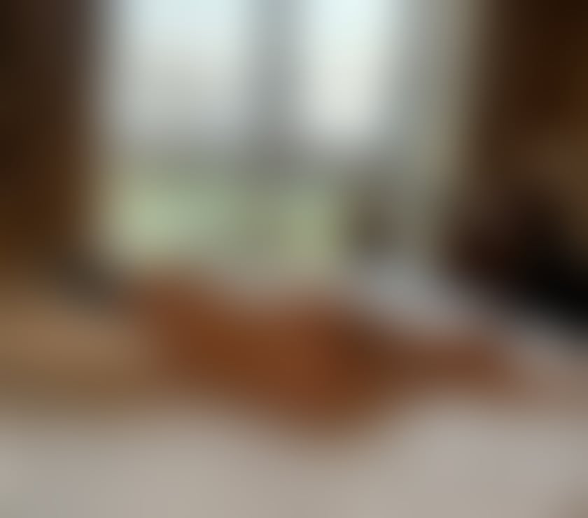 Escorts North Yorkshire Harrogate - North Yorkshire - Photos for BIG BOOBS - REAL PICTURES 🔥