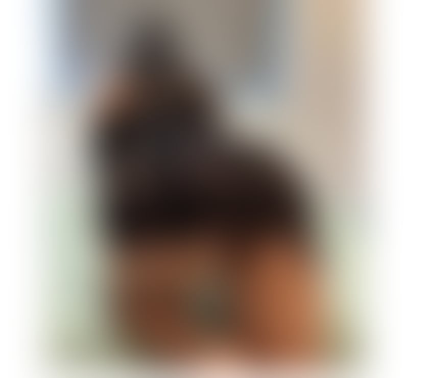  Escorts Eastbourne Town Centre Eastbourne - Photos for NEW IN TOW🥰BEST SERVICII💯PARTY GIRLS🥂OUTCALL ONLY