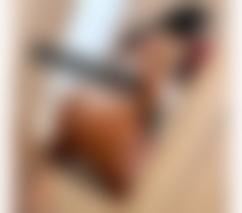 Escorts South Yorkshire Barnsley - Photos for Hello i am Adelle just come in yours town❌party❤☎️