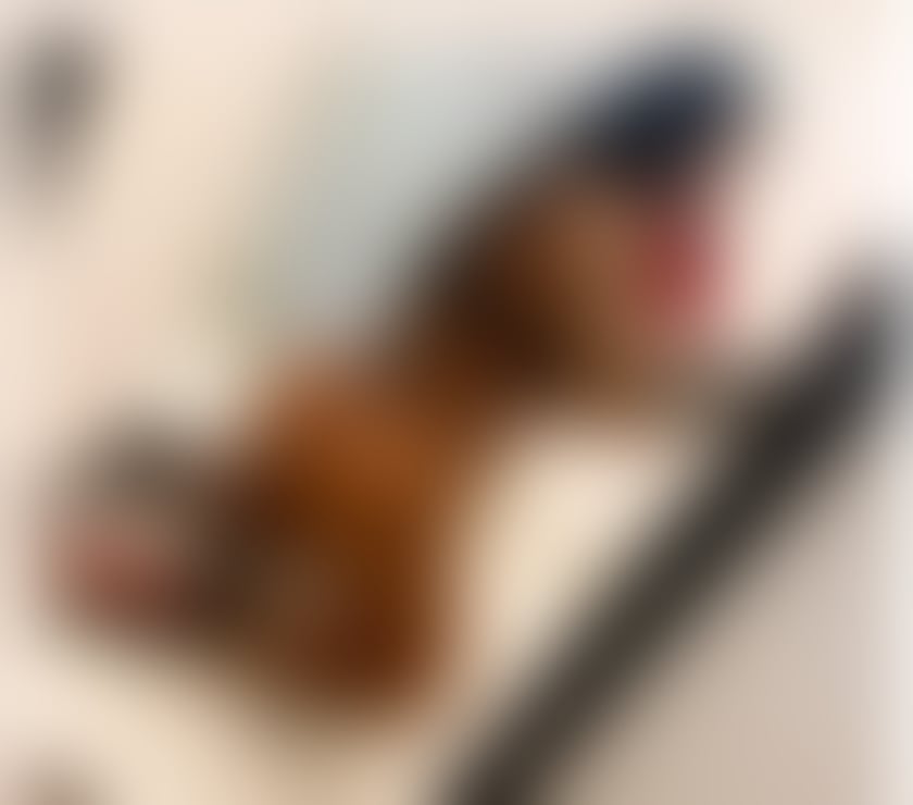 Escorts West Yorkshire Wakefield - Photos for Hello i am Adelle just come in yours town❌party❤☎️