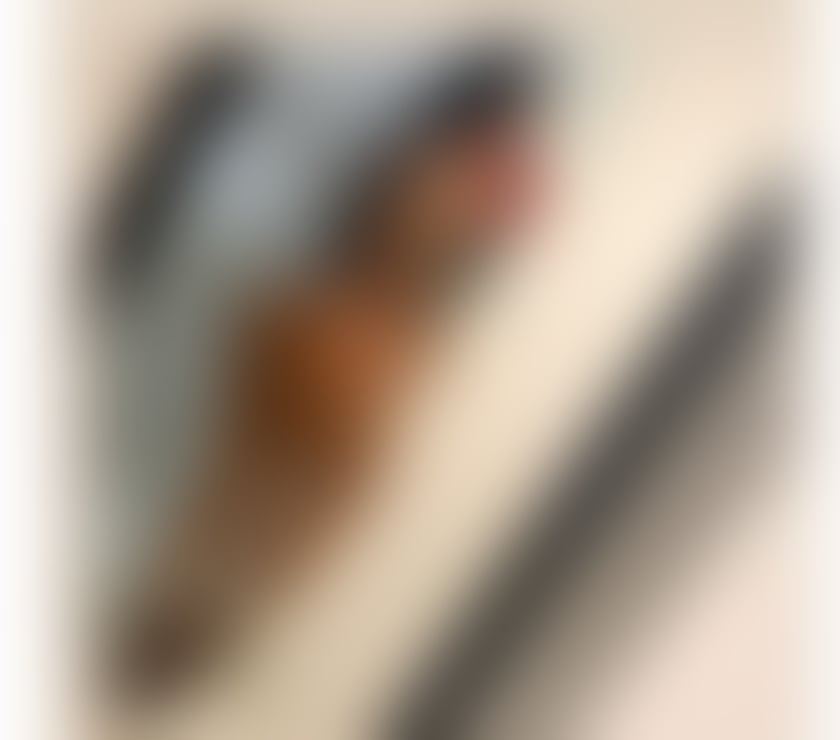 Escorts West Yorkshire Wakefield - Photos for Hello i am Adelle just come in yours town❌party❤☎️