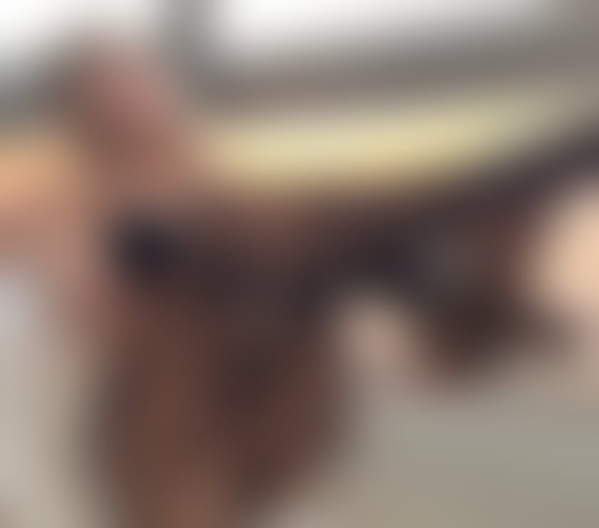 Escorts and Massages Brentwood Station Brentwood - Photos for 100% REAL NEW PARTY GIRL