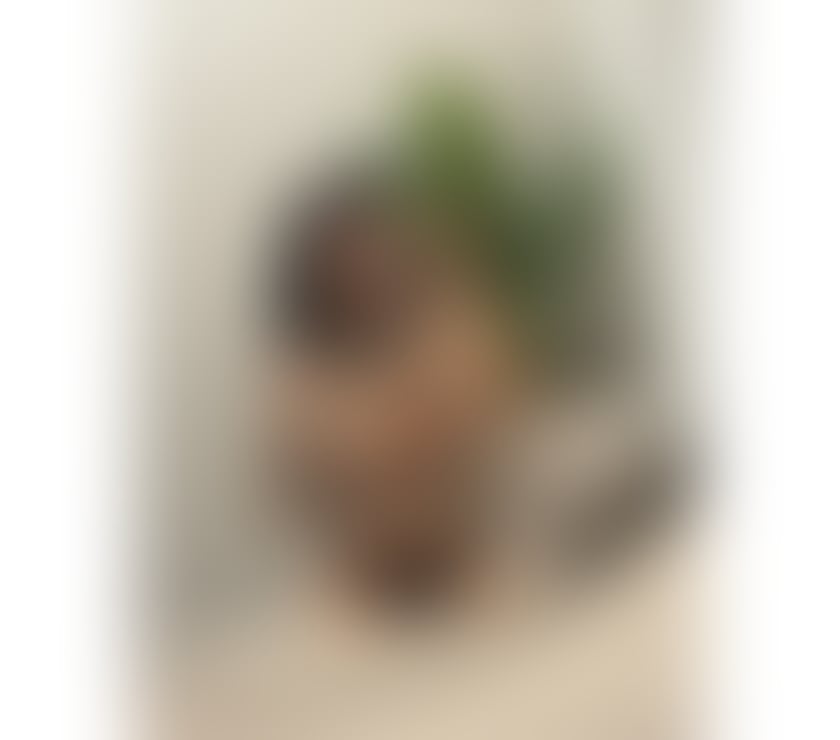 Escorts and Massages Mayfair Central London - Photos for Queen🤍 party🍾🥂