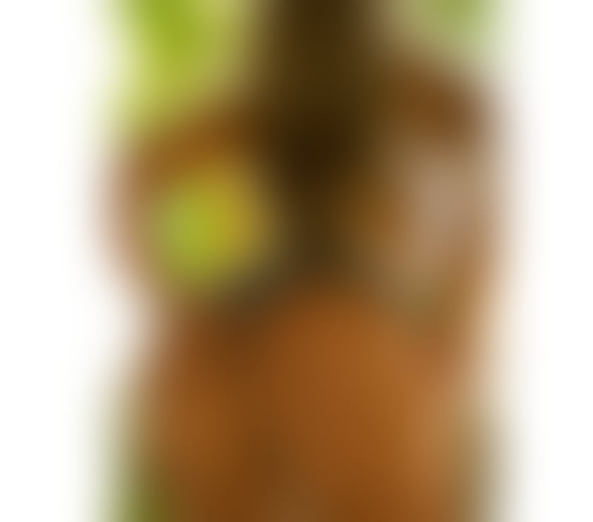 Escorts North London Enfield - Photos for HOT Bella Brazilian best service🇧🇷 party girl