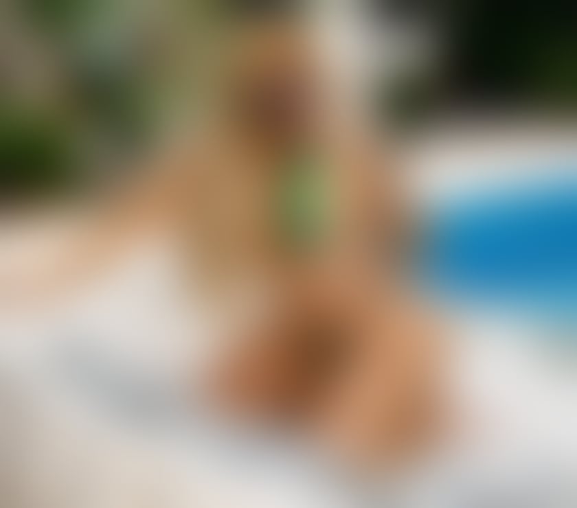 Escorts West Midlands Birmingham - Photos for 💎ANGEL VIVARA💎I AM BACK💎BEST OWO HOT🔥GFE💎