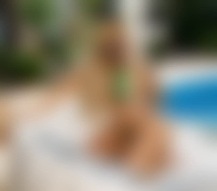 Escorts West Midlands Birmingham - Photos for 💎ANGEL VIVARA💎LAST WEEK IN THE UK💎PARTY GIRL💎