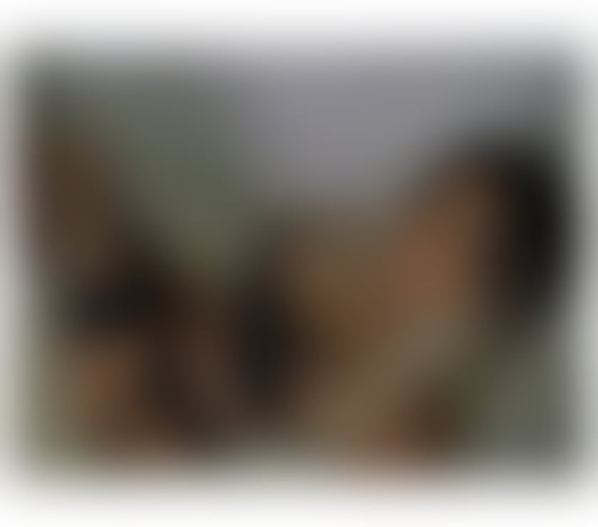 Trans Escorts West Yorkshire Bradford - Photos for 💕Nicole sexy Ts girl in town💕 Real pics !!