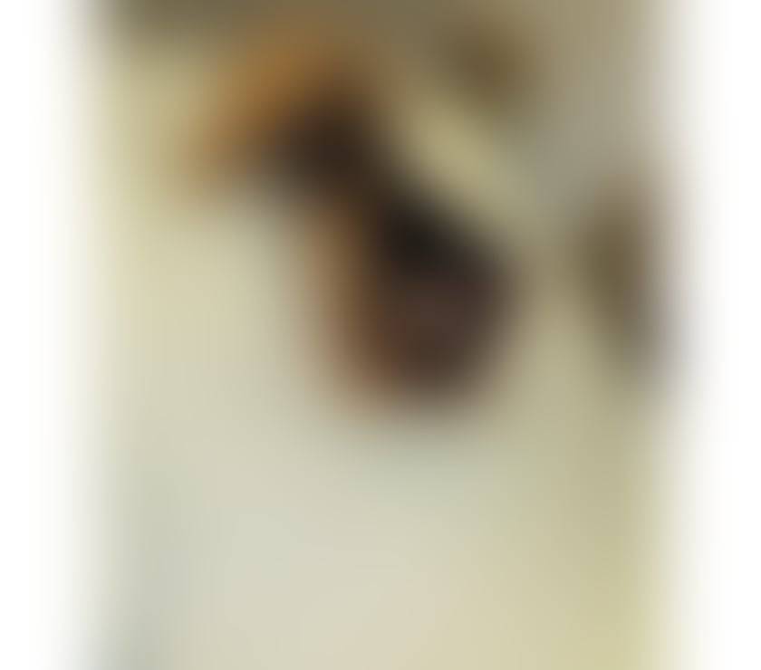 Escorts South East London Bromley - Photos for Hi I’m Rebeka outcall incall party nice service