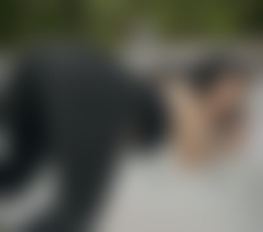 Escorts Bristol Bristol City Centre - Bristol - Photos for SANDRA GREEK GRIL BRISTOL 🥵