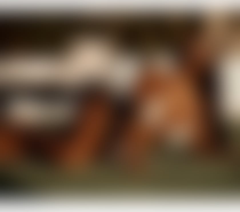 Escorts West Midlands Solihull - Photos for Chocolate yummy 😋 Ebony Hot body babysoft skin