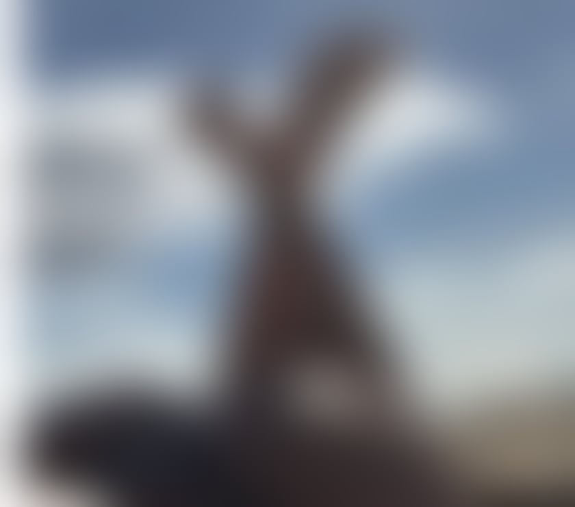 Escorts Bristol Bristol City Centre - Bristol - Photos for ❤️Brazilian Girlfriend ❤️ Sabrina