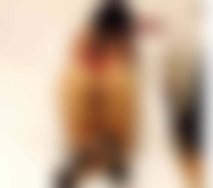 Escorts South Yorkshire Sheffield - Photos for ❤️💯Party girl incall end outcall 💯❤️