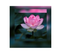 Best Relaxing Massage