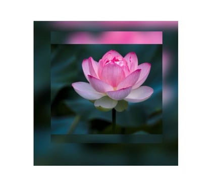 Professional massage Belfast City Centre (South) Belfast - Photos for Best Relaxing Massage