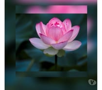 New Therapeutic Relaxing Massage