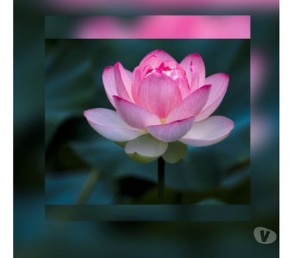 Massage Inverness Airport Highland - Photos for New Therapeutic Relaxing Massage