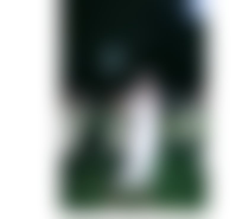 Trans Escorts Dorset Bournemouth, Christchurch and Poole - Photos for Jasmine Diamond thai ladyboy