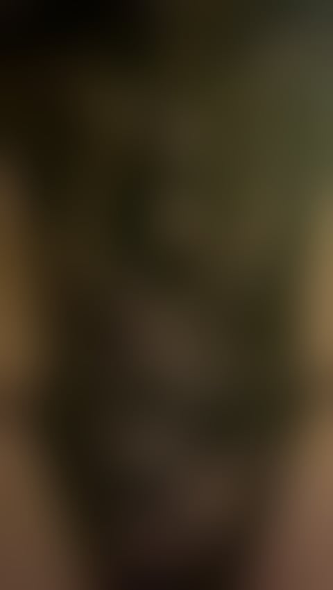 Escorts Edinburgh Edinburgh - Edinburgh - 