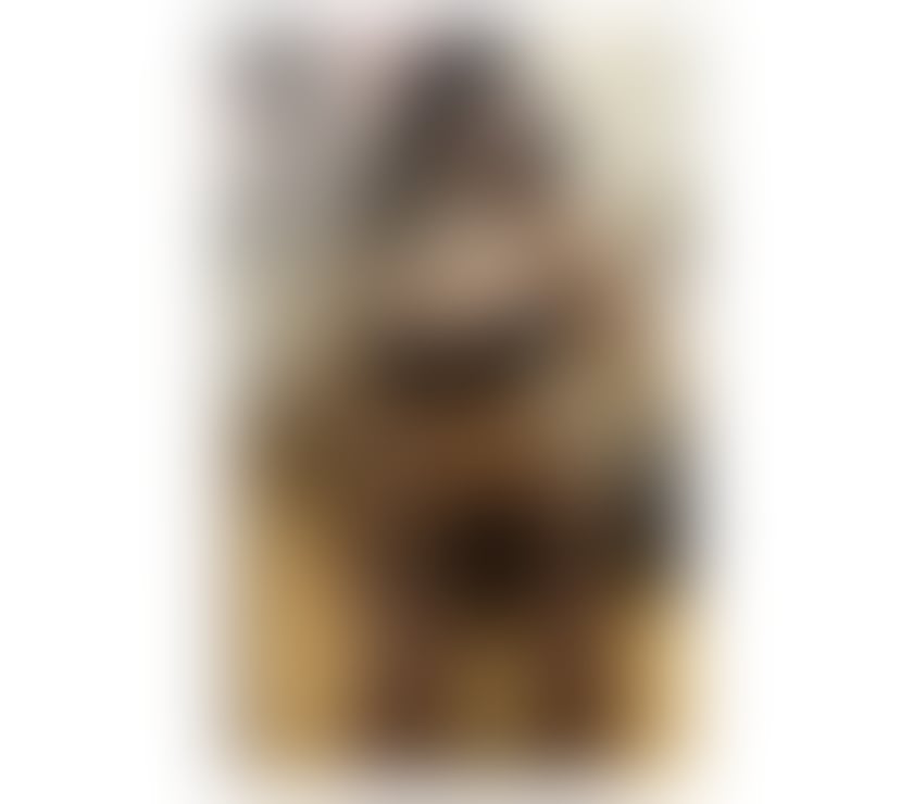 Escorts Tyne and Wear Newcastle upon Tyne - Photos for Raysaa new party Girls in Town Best servicii no rush