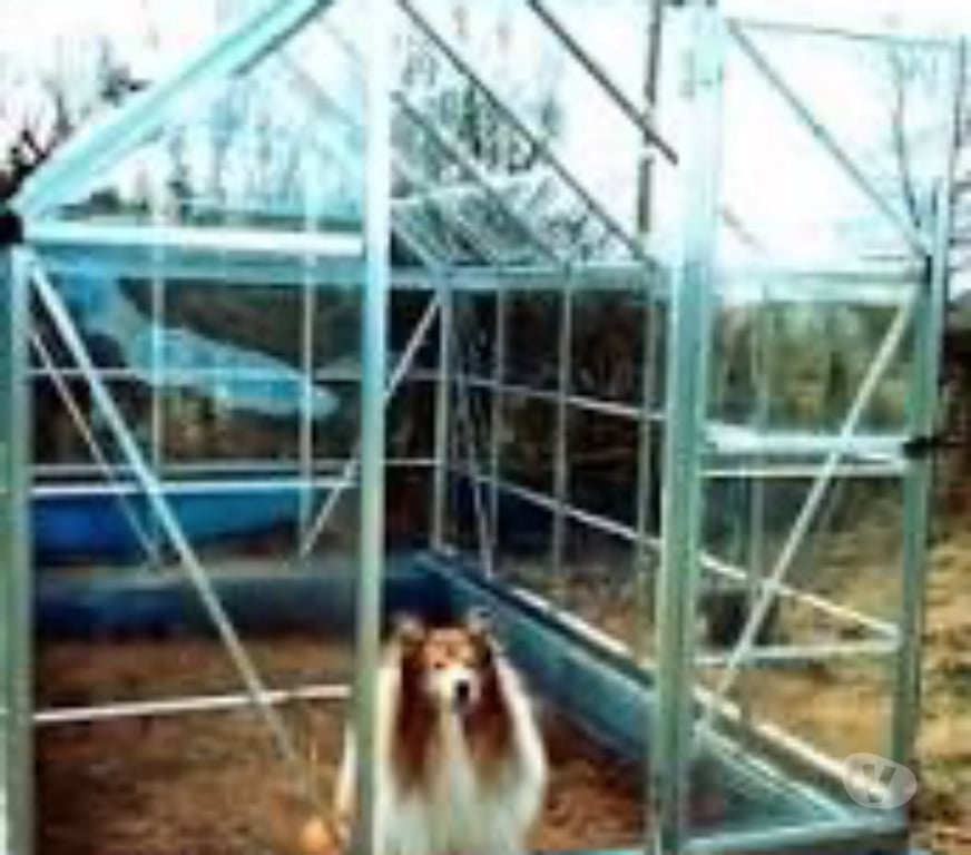 Other Services Hampshire Havant - Photos for Greenhouse Maintenance