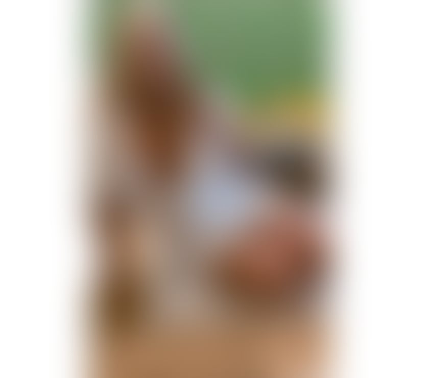 Escorts Kent Maidstone - Photos for Magiclondon69 One ☝🏻 last week call 📞 😍😍