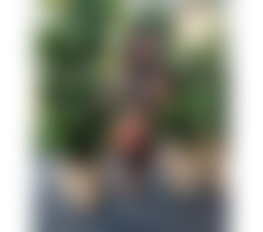 💕JUST GOT HERE ❤️PERFECT BODY NEW