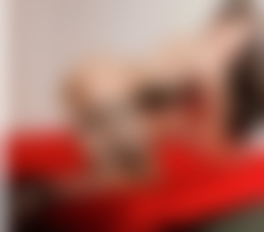 Escorts North West London Kilburn Station - North West London - Photos for ❤️‍🔥I'm ZOEY sexy Thai ladyboy New in CAMDEN✅