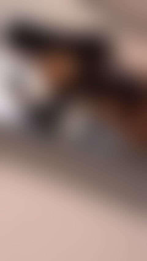 Escorts East London Canary Wharf Station - East London - 