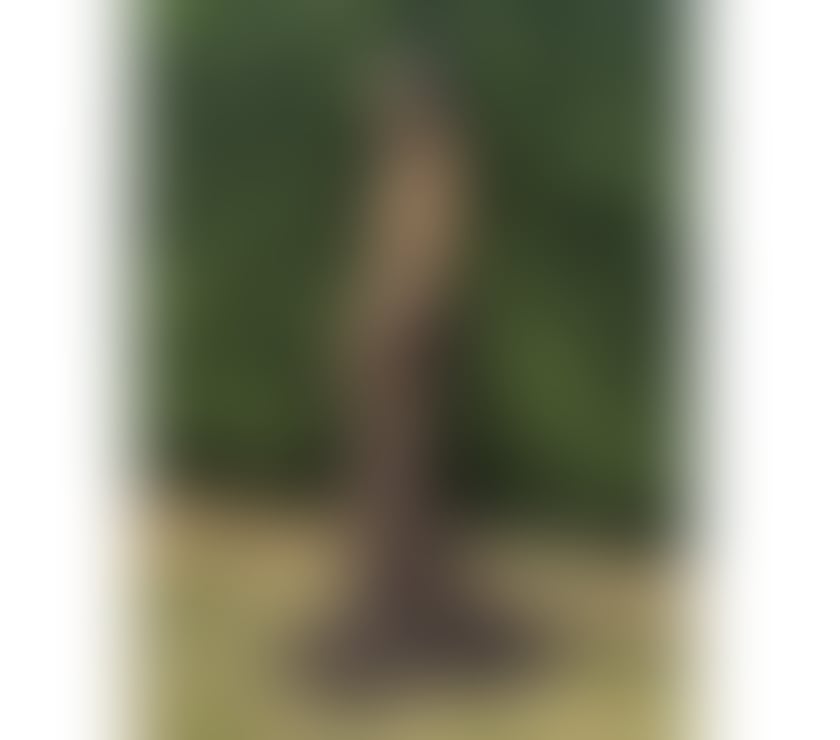 Escorts and Massages Ipswich Town Centre Ipswich - Photos for Hello. Gentlemen I am Amanda Thailand.🥰