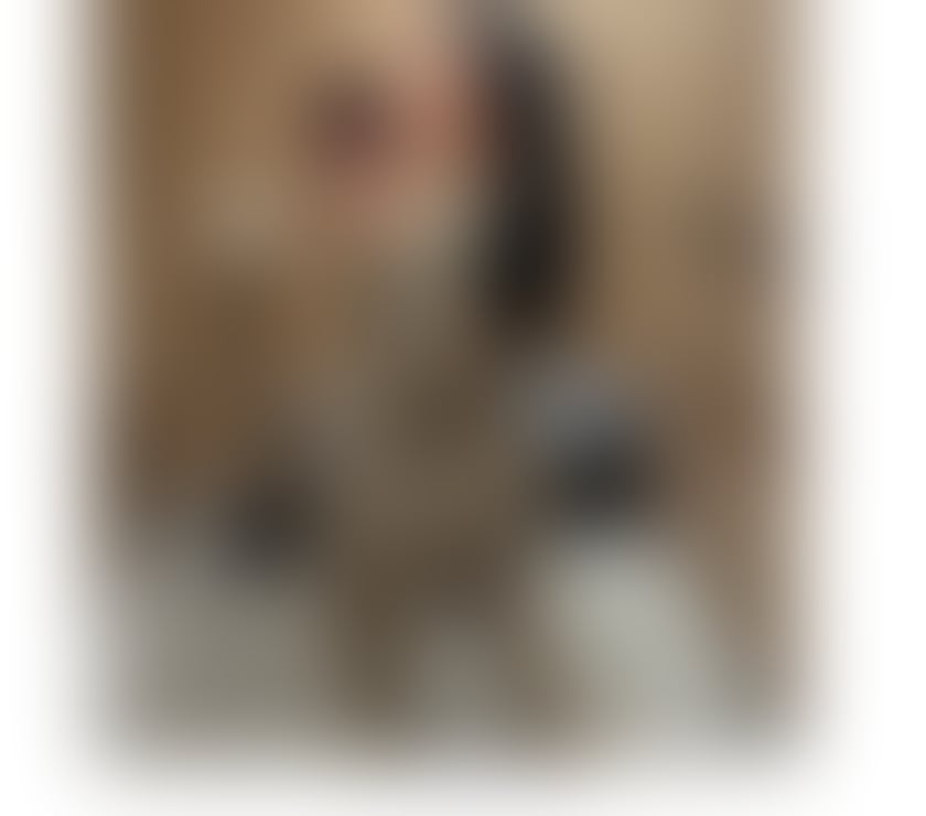  Escorts Anerley Station South East London - Photos for Chanell lady sexi Latina owo party 🥳