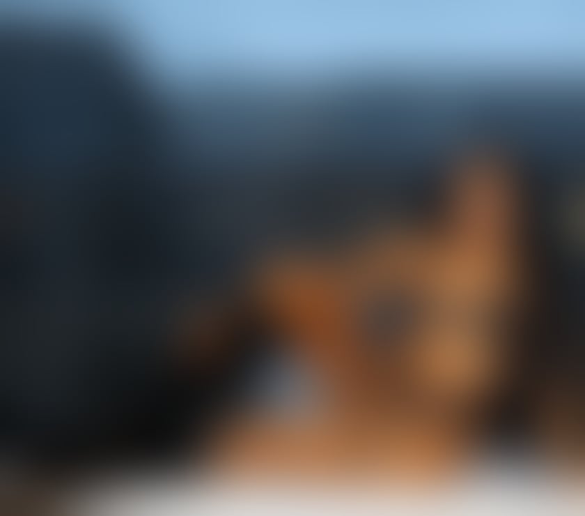 Escorts South West London Fulham - South West London - Photos for JADE ❤️PARTY GIRL REAL PICS 100%