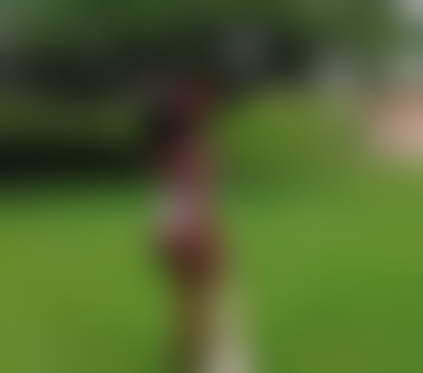 Escorts and Massages Exeter City Centre Exeter - Photos for Sorayah black ebony ,girl party 🎉🇧🇷