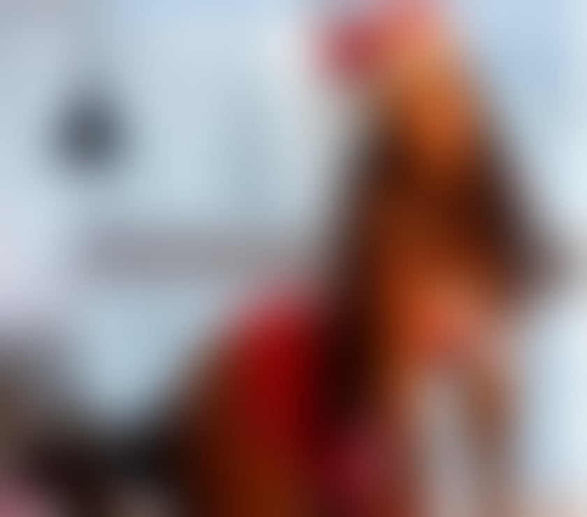 Escorts Essex Colchester - Photos for 🇧🇷🍑Bartira Luz 100% really🍑 NEW IN TOWN 🍆🥳