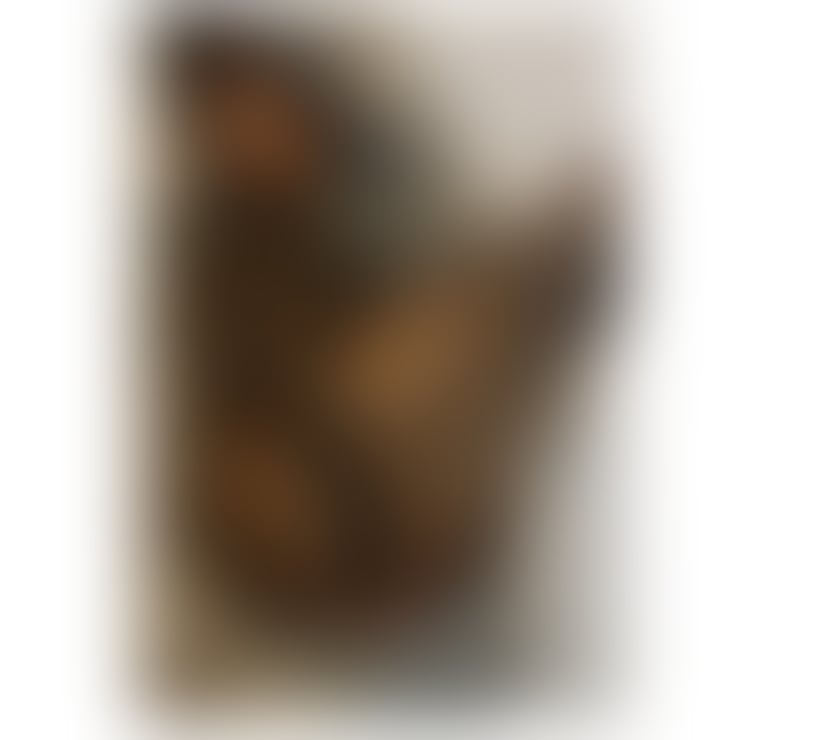 Trans Escorts York York City Centre - York - Photos for Put me on in 4 and fill me whit you milk