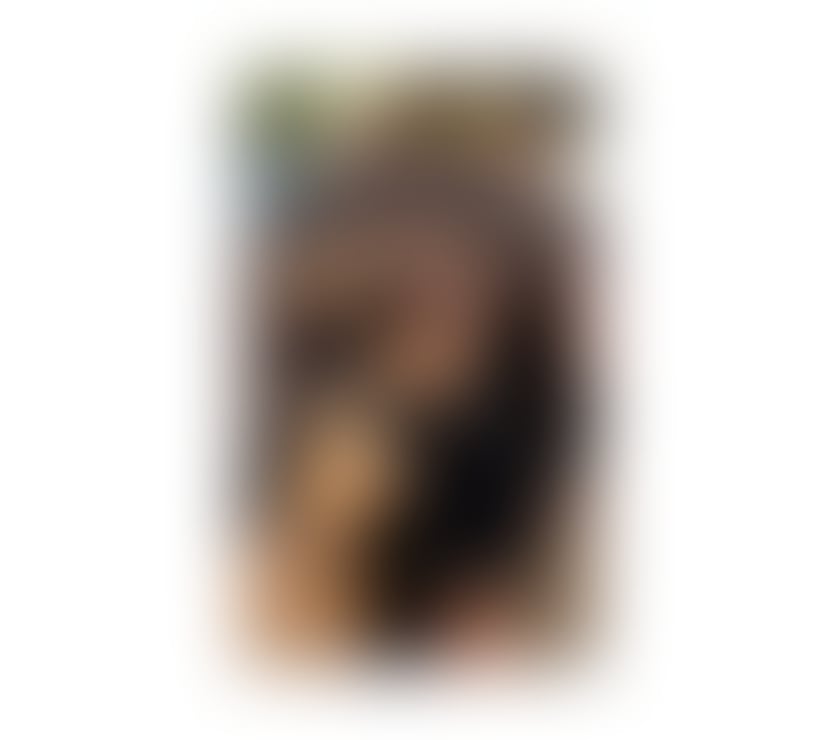 Louise 🫦✨💋 New in town