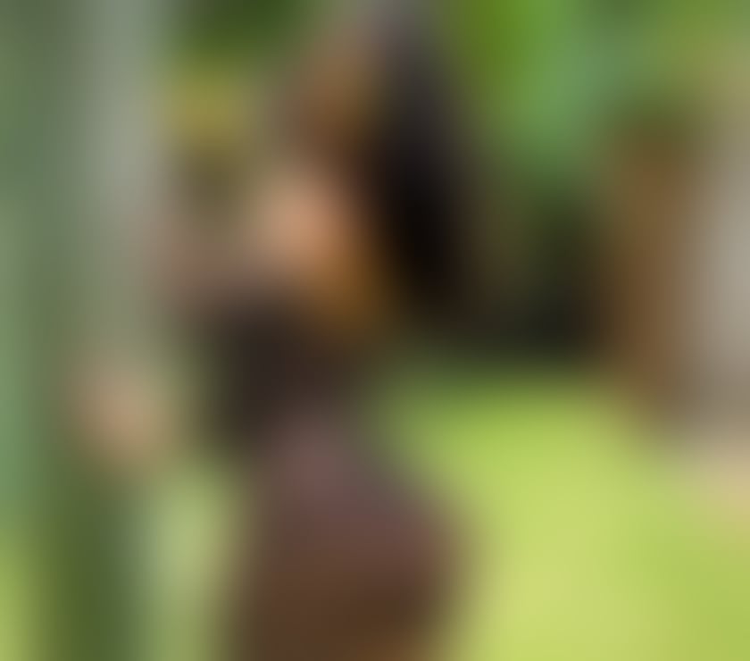 Escorts Greater Manchester Manchester - Photos for Brazilian real 100%🫦French kissing❤️‍🔥❤️