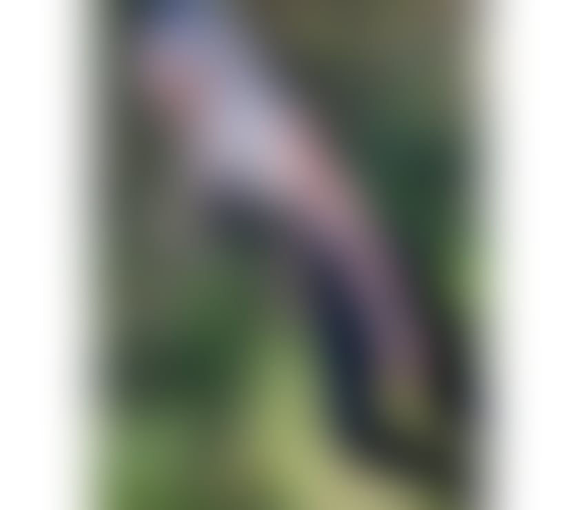 Escorts West London Hounslow - Photos for Janaina last week in UK